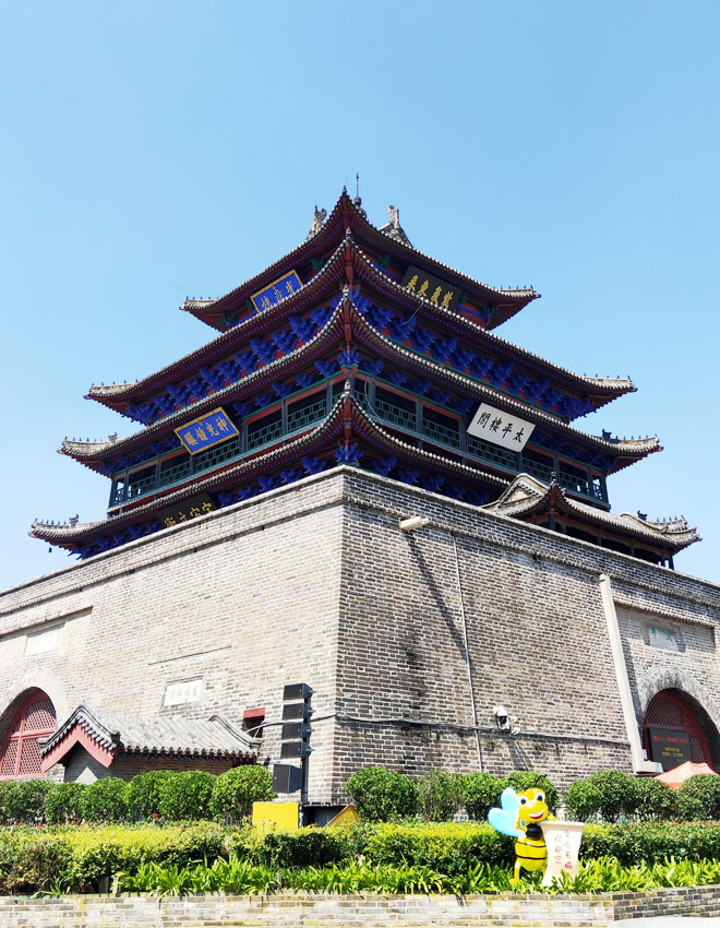 聊城新锐网络